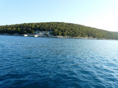 P1180074.JPG