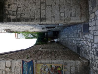 P1180250.JPG