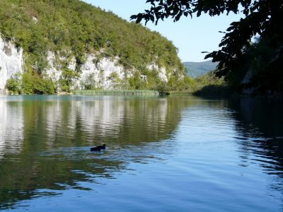 P1190031.JPG