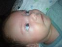 DSC00460.JPG