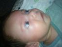 DSC00461.JPG