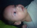 Dateiname=DSC00575.JPG
Dateigröße=642KB
Abmessungen: 2048x1536
hinzugefügt am: 01. Dezember 2015 DSC00575.JPG