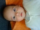 Dateiname=DSC00766.JPG
Dateigröße=514KB
Abmessungen: 2048x1536
hinzugefügt am: 01. Dezember 2015 DSC00766.JPG