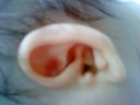 DSC00950_001.JPG