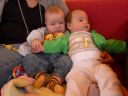 Dateiname=P1150282.JPG
Dateigröße=392KB
Abmessungen: 2048x1536
hinzugefügt am: 01. Dezember 2015 P1150282.JPG