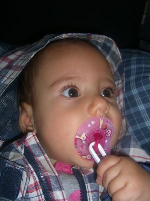 CIMG0705.JPG