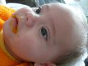 Dateiname=P1160031.JPG
Dateigröße=278KB
Abmessungen: 2048x1536
hinzugefügt am: 01. Dezember 2015 P1160031.JPG