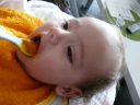 Dateiname=P1160035.JPG
Dateigröße=358KB
Abmessungen: 2048x1536
hinzugefügt am: 01. Dezember 2015 P1160035.JPG