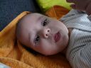 Dateiname=P1160097.JPG
Dateigröße=415KB
Abmessungen: 2048x1536
hinzugefügt am: 01. Dezember 2015 P1160097.JPG