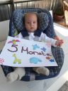 Dateiname=P1160162.JPG
Dateigröße=375KB
Abmessungen: 1536x2048
hinzugefügt am: 01. Dezember 2015 P1160162.JPG