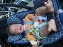 Dateiname=P1190172.JPG
Dateigröße=422KB
Abmessungen: 2048x1536
hinzugefügt am: 01. Dezember 2015 P1190172.JPG