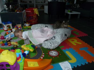 P1190537.JPG