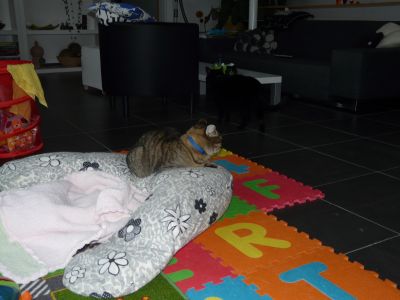 P1190540.JPG