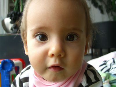 CIMG0384.JPG