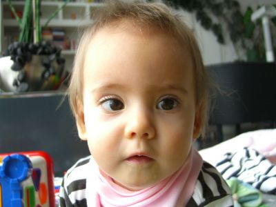 CIMG0385.JPG