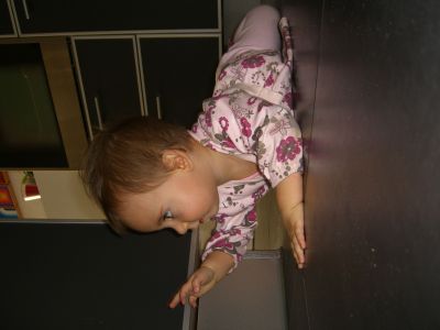 CIMG0694.JPG