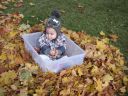 PICT0174.JPG