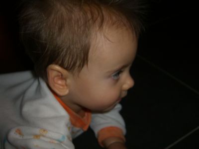 CIMG0791.JPG