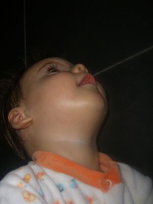 CIMG0802.JPG