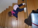 Dateiname=P1200533.JPG
Dateigröße=339KB
Abmessungen: 2048x1536
hinzugefügt am: 01. Dezember 2015 P1200533.JPG