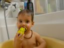 Dateiname=P1200939.JPG
Dateigröße=260KB
Abmessungen: 2048x1536
hinzugefügt am: 01. Dezember 2015 P1200939.JPG