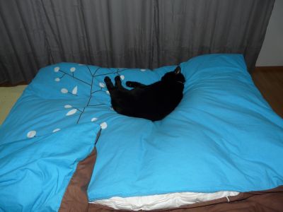 P1210655.JPG