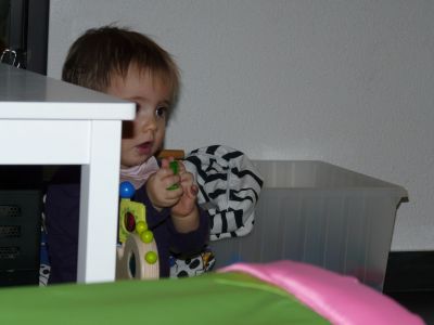 P1210799.JPG