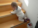 Dateiname=P1220146.JPG
Dateigröße=385KB
Abmessungen: 2048x1536
hinzugefügt am: 01. Dezember 2015 P1220146.JPG