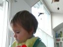 Dateiname=P1220395.JPG
Dateigröße=241KB
Abmessungen: 2048x1536
hinzugefügt am: 01. Dezember 2015 P1220395.JPG