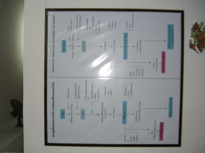 cimg3888.jpg