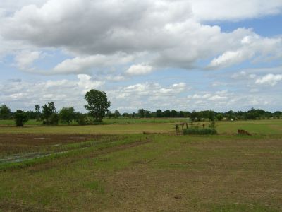 cimg3987.jpg