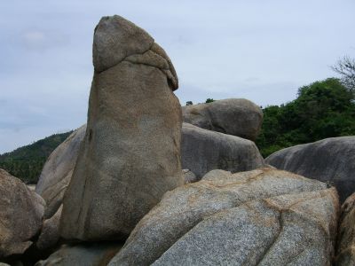 cimg4454.jpg