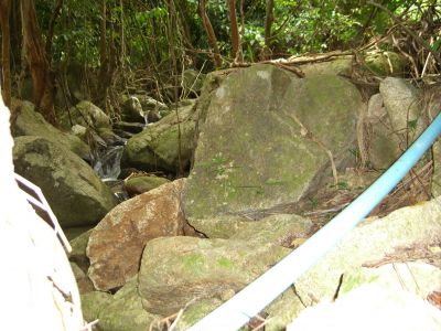 cimg4485.jpg