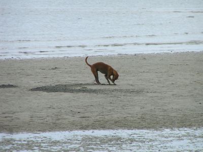 PICT0016_001.JPG