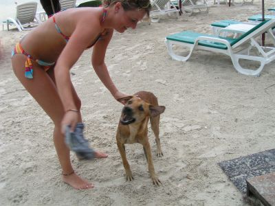 PICT0058_001.JPG