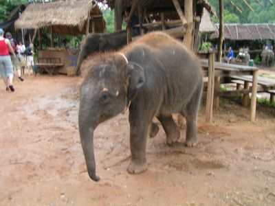 PICT0063.JPG