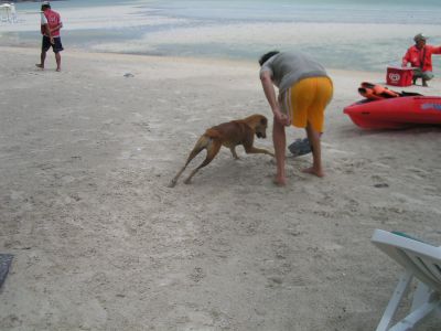 PICT0069_001.JPG