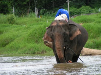 PICT0144.JPG