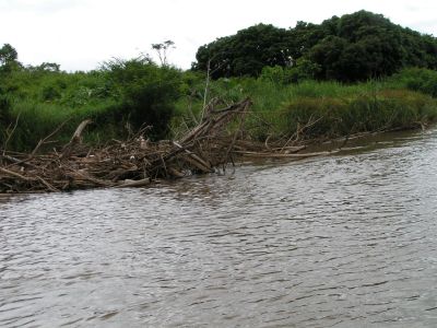 PICT0146.JPG