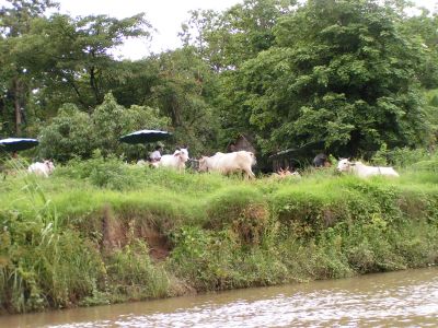PICT0148.JPG