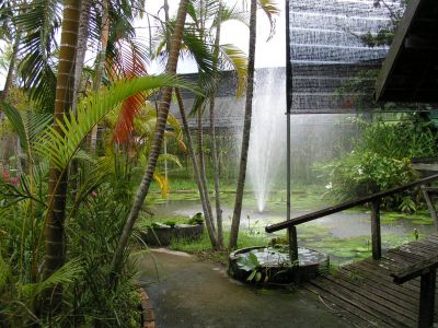 PICT0186.JPG