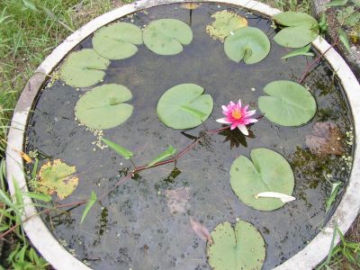 PICT0191.JPG