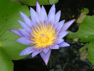 PICT0193.JPG