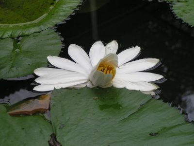 PICT0209.JPG