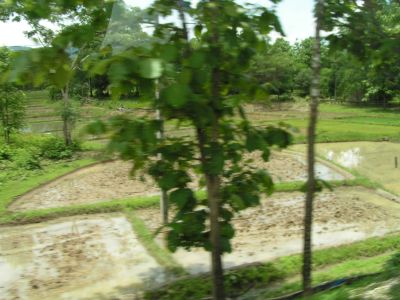 PICT0475.JPG