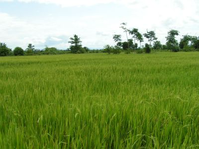 PICT0478.JPG