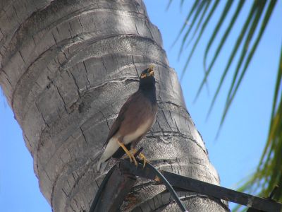 PICT0982.JPG