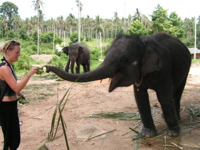 PICT1324.JPG