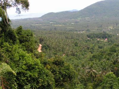 PICT1354.JPG
