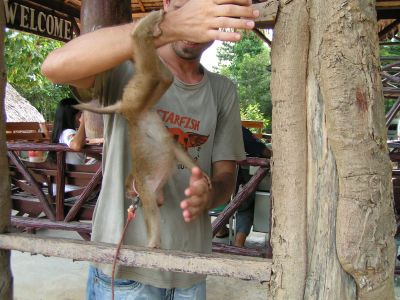 PICT1372.JPG